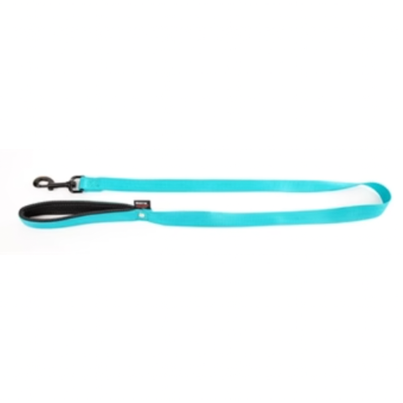 Hundeleine Nylon Türkis